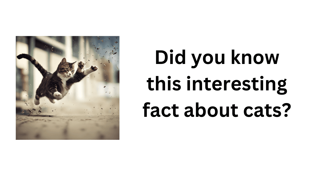 Why Do Cats Always Land on Their Feet?